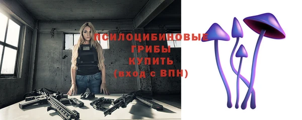 бутират Алексеевка